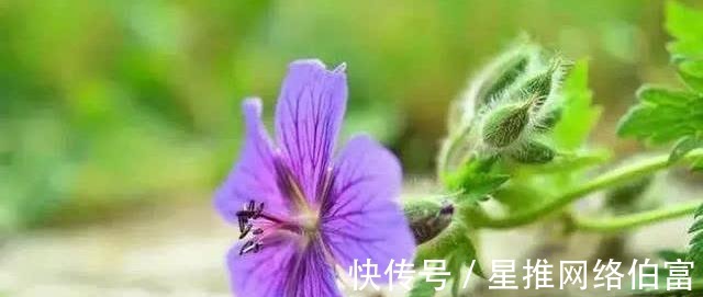 无恒$古今民间谚语大全，老祖宗太智慧了！值得收藏