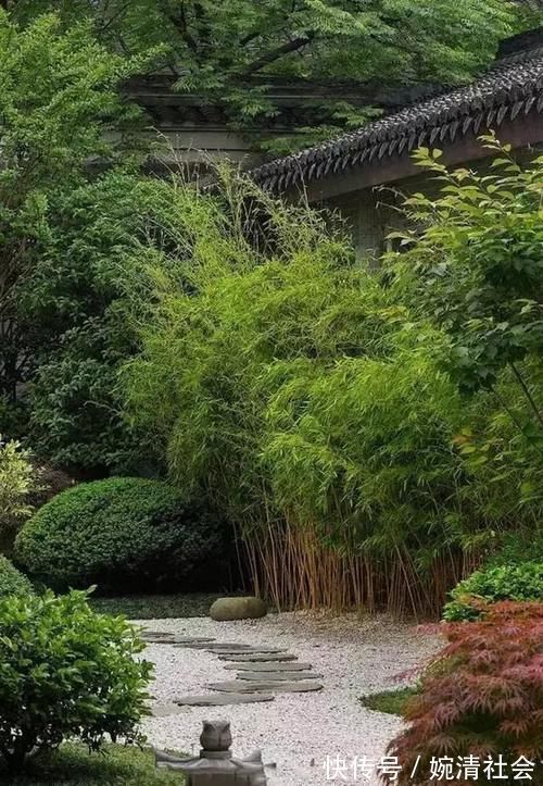 绿植|花卉、绿植、盆景、蔬菜，如果有自己的院子你更愿意养哪一种？
