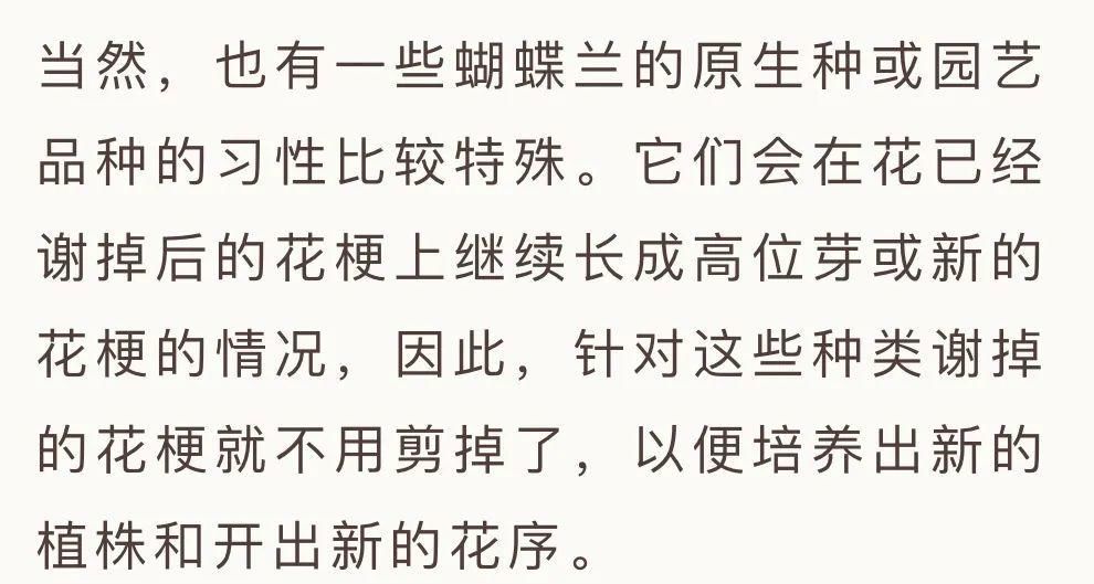 蝴蝶兰在家里怎么养？这些问题的解答来了！