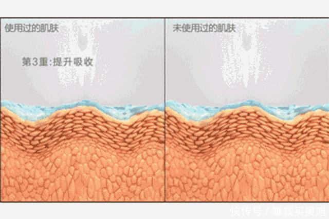 粉底刷|屈臣氏里你不知道的隐藏好物,价格便宜又好用,遇到“别犹豫”