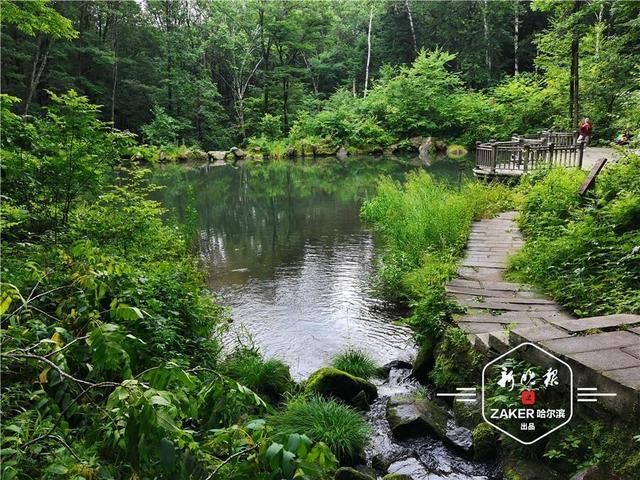 旅游|登山观景尝美食!通河铧子山第十六届登山节开幕