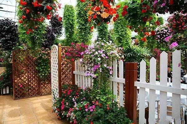 家里不要乱养花,里面有讲究!懂得人爱养此8种花,飘香还养人