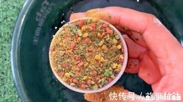 鲫鱼|六月了，板鲫“狡猾”又难钓，多亏二十年老司机指点才钓过了瘾