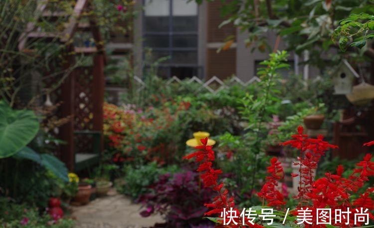 小院|荒废多年的80㎡小院,2年半时间打造成下沉式花园,太漂亮了!
