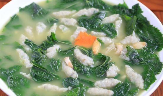 改善|桑叶能用好,绝对是个宝,一片桑叶,能改善6种病症