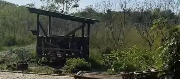 节目过后,留下一地鸡毛,总是没有个善始善终的结局