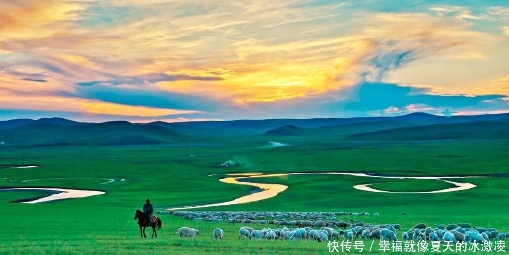 为什么草原上只有草,却看不见树这么多年,可算明白了