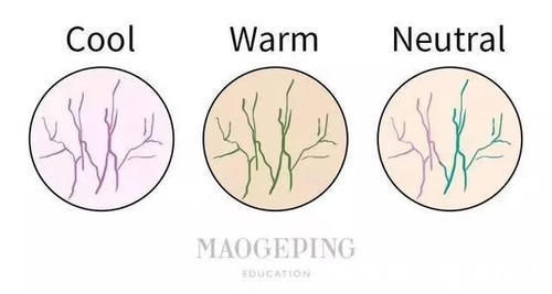 白发|“黄头发”过时了,2021年新春推荐这4种显白发色,吸睛又亮眼