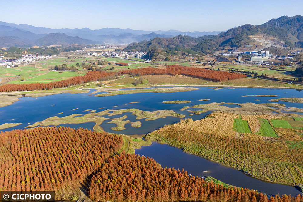 杭州市|浙江淳安：生态湿地风光如画