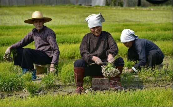 血管|百歲老人血管僅50歲，保養的秘訣不是運動，而是大家忽略的3件事