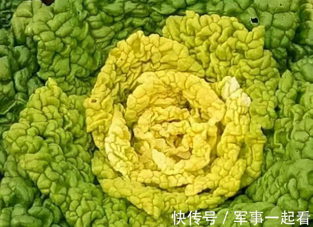 排毒养颜|秋天想气色好，不可缺少的食物，提高肤色，延缓衰老，美容又活血