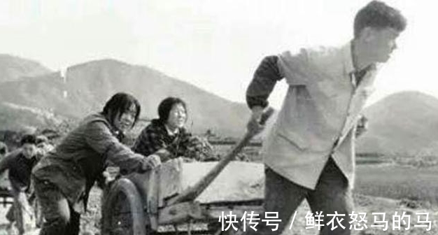 治病$20岁知青张志远为报恩，“嫁”31岁带4娃寡妇留大山，至今不悔