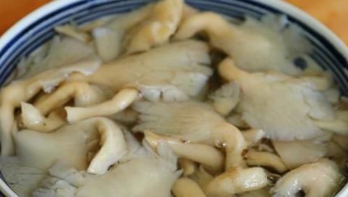 吃了20年饺子，只有这个馅百吃不厌，比吃肉都要香，好吃！