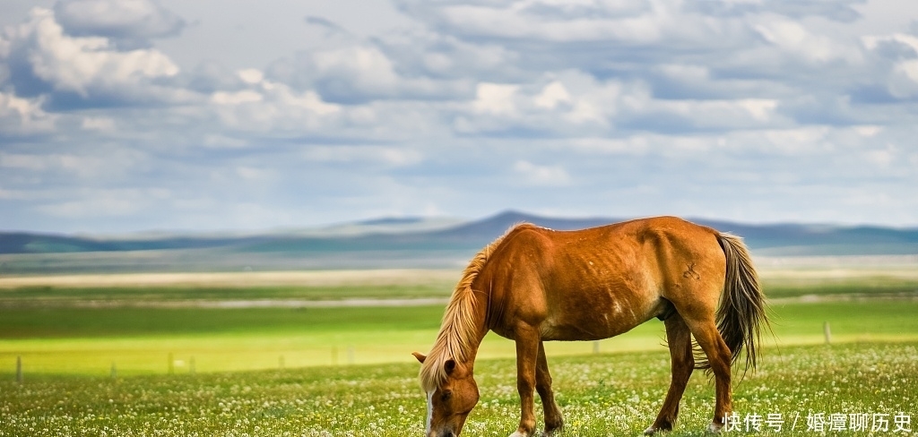 西域一国,因为一种动物而名扬天下,名字却很容易被读错