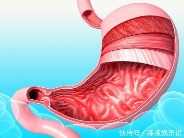 蜂蜜|胃不舒服的人，早上起来多做4件事，保护胃黏膜，预防便秘