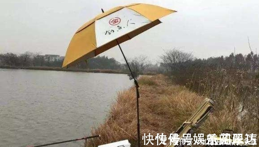 大板鲫|大板鲫不咬钩,只怪天气不好?老钓手换用这套钓法,刚下竿就中鱼