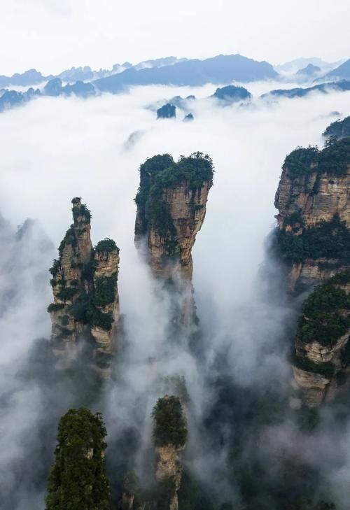 一场春雨，将张家界武陵源泼成了一幅幅山水画