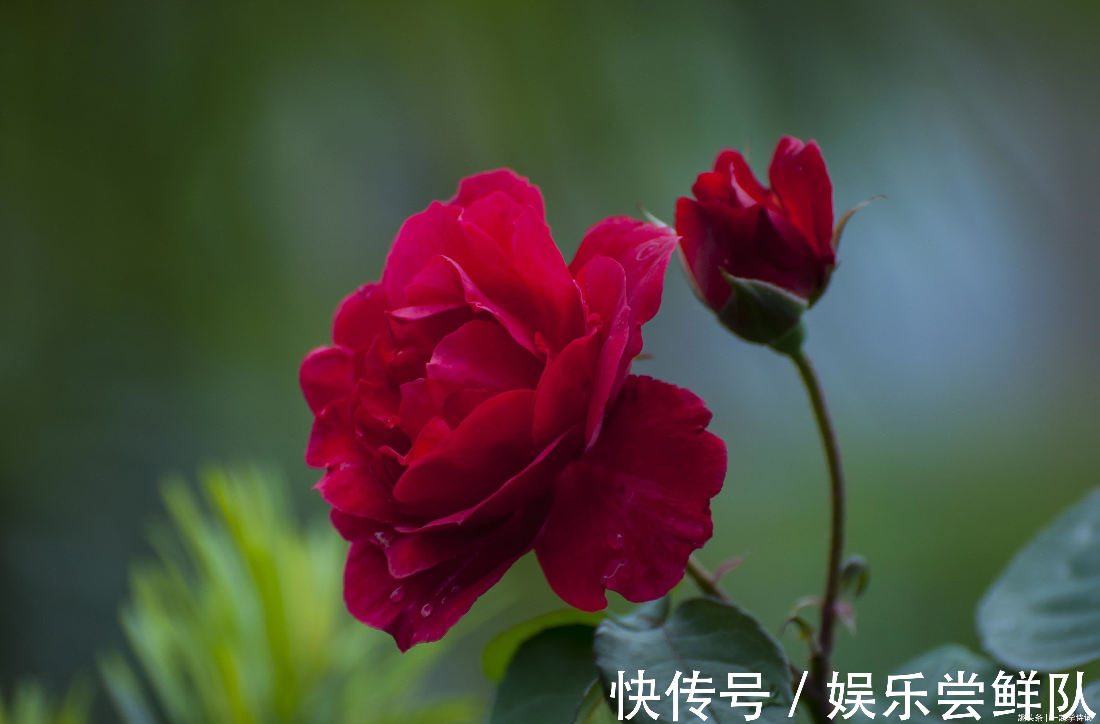 李陵咏@王维 李陵咏