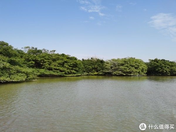 小鸟|新会一日游：就到小鸟天堂、梁启超故居以及陈皮村去！