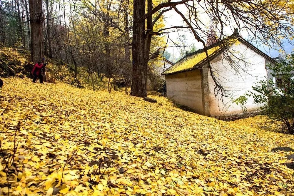 健康,是你最大的责任!