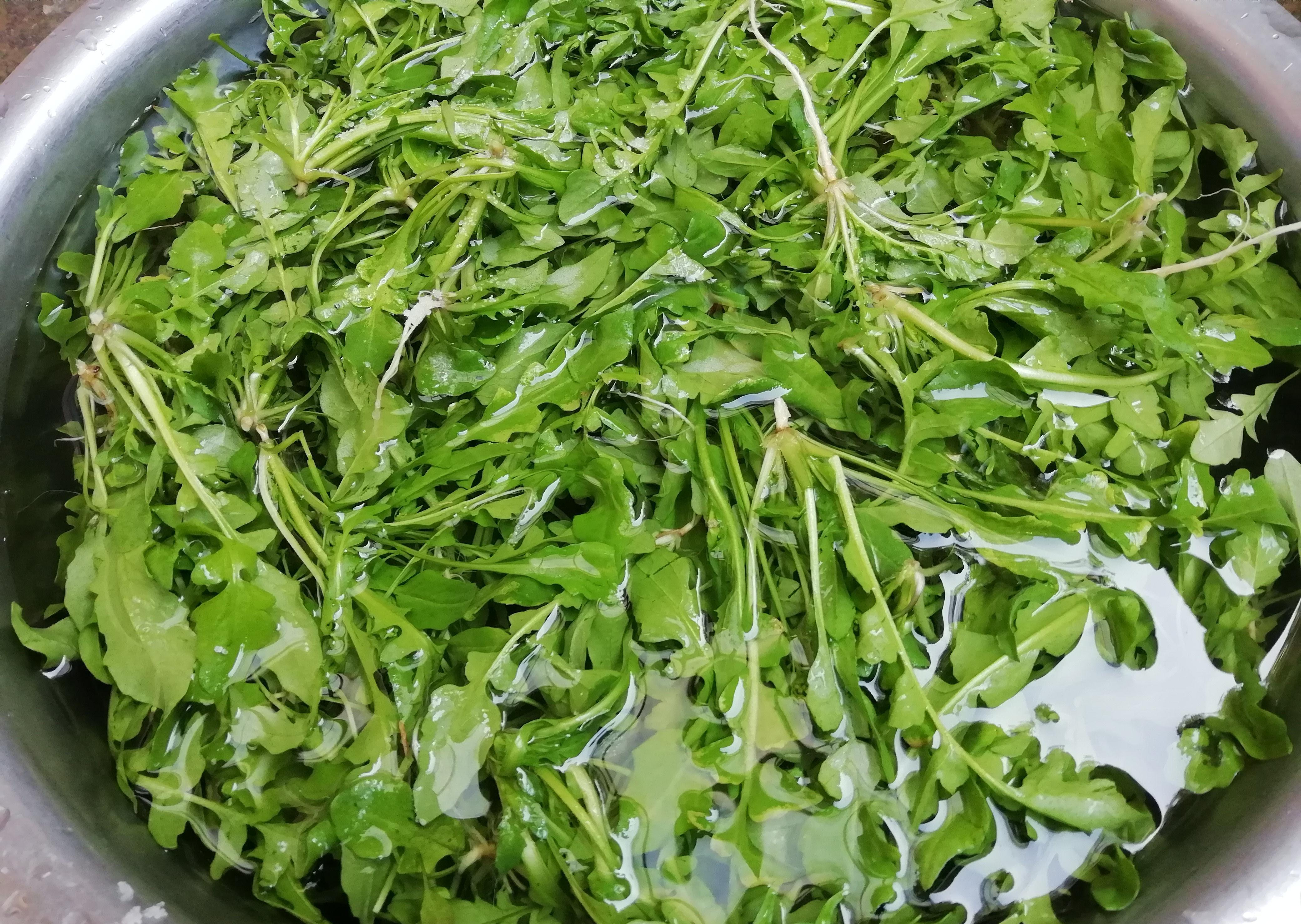 秋季，吃白菜不如吃此菜，多买些焯水放冰箱保存，随吃随取特省事