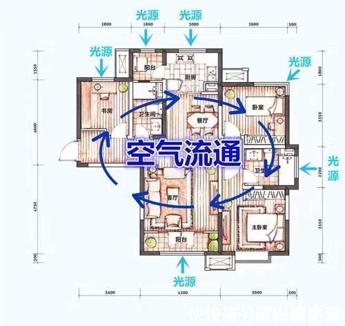 购房者|如果你买的房子具有这4个特点，真的恭喜你，买到了“黄金户型”