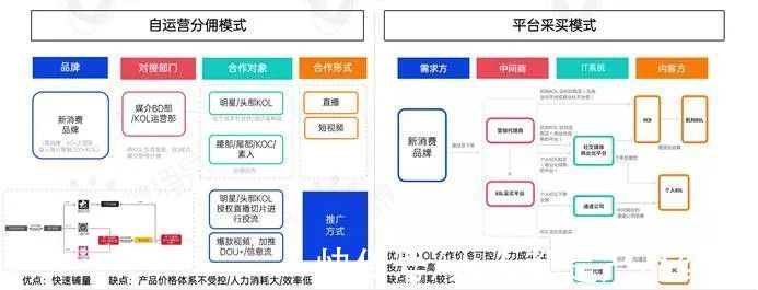 roi|新消费品牌KOL营销的六大成功定律