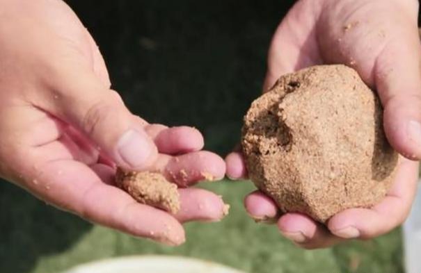 饵料|野钓收获不理想？那是饵料使用错误，这才是野钓用饵的正确方法