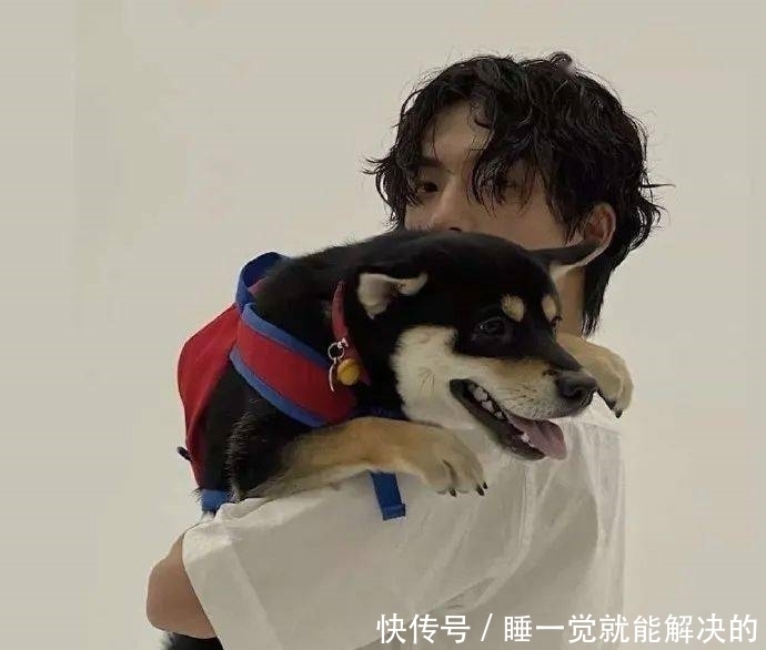 超好玩的沙雕头像,建议收藏!