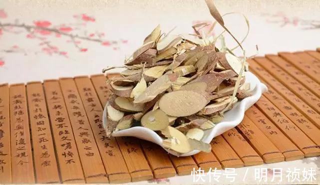 实用中医风湿病学|有一种树枝,是颈椎病“死敌”!这就是中国人的智慧