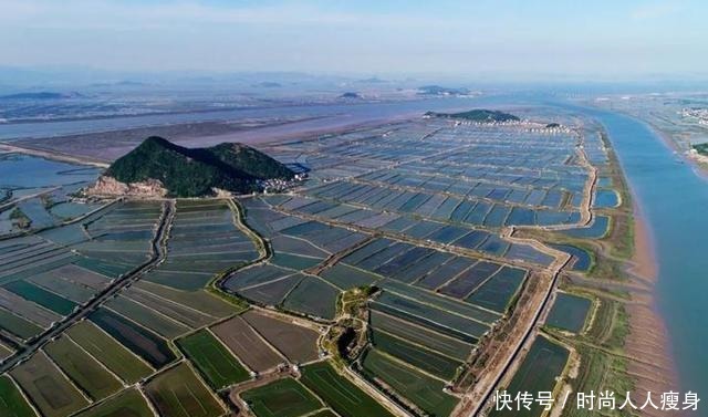 在三门“舞爪横行”的青蟹,到了最好吃的时候啦