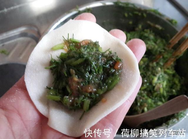 味美|包饺子用这个菜,比韭菜香味还浓,拌饺子馅鲜香味美,回味无穷