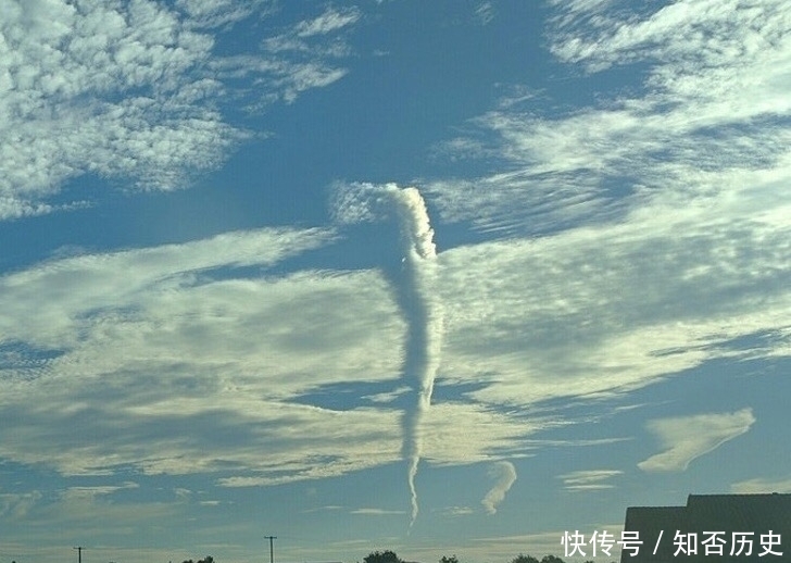 张让|9张让人产生“错觉”的照片,图8的小龙虾只是在锅里