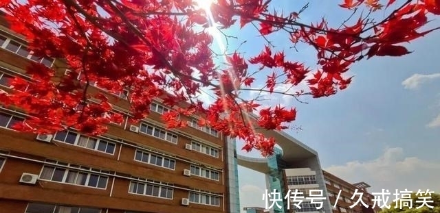 宁波大学|200亿！东方理工大学确定用地位置！能否动摇宁波大学的地位？