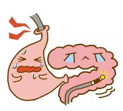 番石榴|想养肠胃的人,尽量少吃或不吃3种水果,胃会感激你