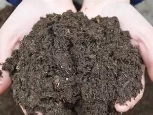 养花不用买肥料,一个小窍门,生活垃圾变成肥沃透气松软的有机肥