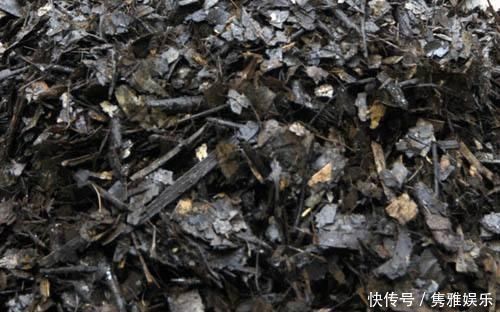 养花土壤板结,三种“玩意儿”丢盆里,土又好又肥,再也不板结了