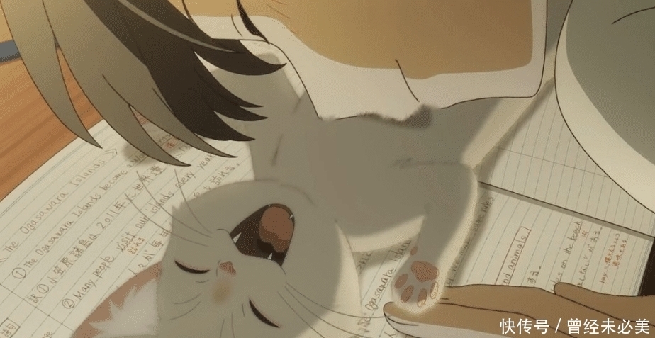 想哭|想哭的我带上了猫的面具:少年的烦恼,青桔酸中带甜的味道