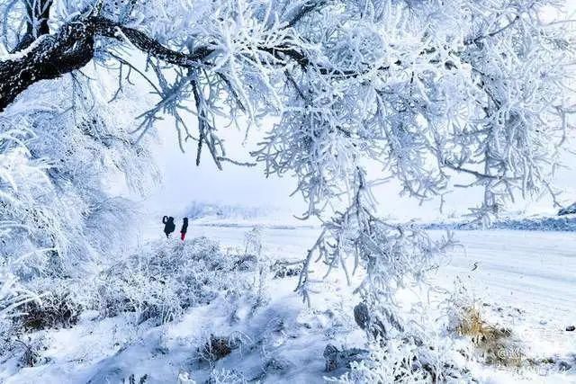 童话|冰天雪地，童话吉林