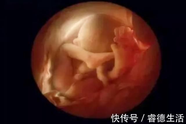 体重|新生儿身高越接近这个值,说明大脑发育得不错,爸妈可以偷着乐了