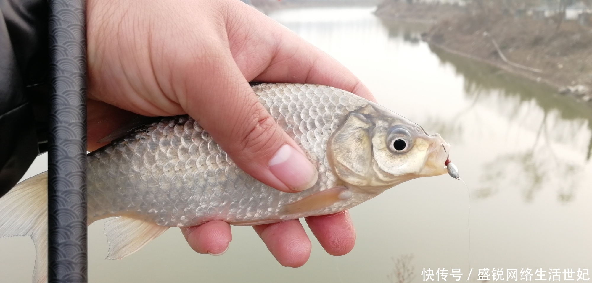 钓不好鱼别总认为是饵料有问题,原因可能出在这,别不信!