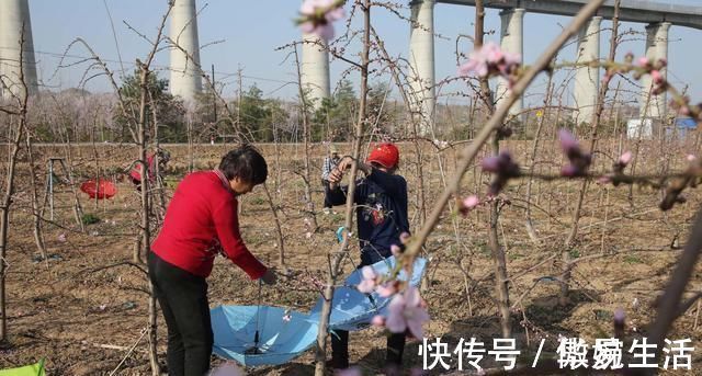 公园|吐槽完公园里“大妈上树”，黄河岸边又出现“采花大盗”，啥情况