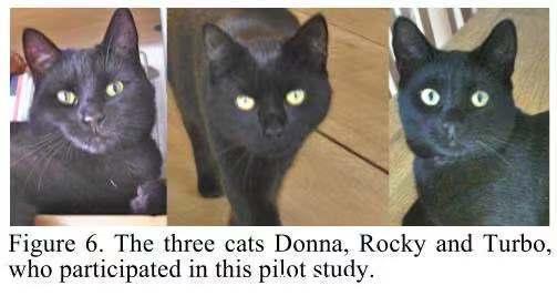 |2021搞笑诺奖揭晓!无聊的知识又双叒叕增加了……