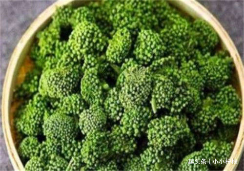 清肠排毒|想长寿要会吃,多吃4种食物,清肠排毒,降压减脂,养护血管