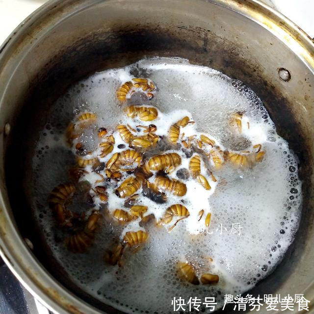  正当|这馅的饺子九成人没吃过，高蛋白低脂肪正当季，味道很香孩子爱吃