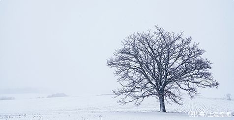  市民|“大雪”补得好，一年不受寒！黄浦冬日滋补指南请查收