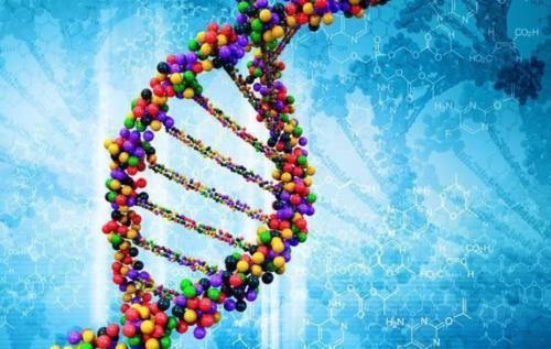 健康|为何女性的体毛会不一样？有的旺盛，有的稀少，哪种比较健康？