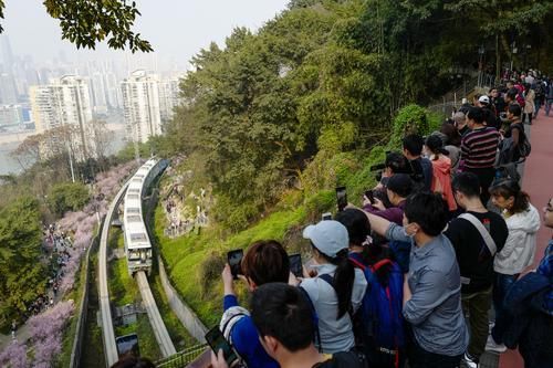 团圆|青山绕城去，繁花入眼来，重庆这条网红地铁带你驶向春天