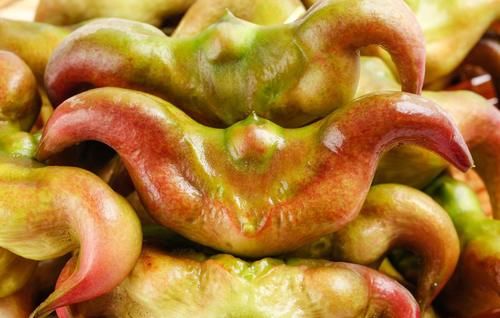 葡萄|明日处暑，记得“3汤4果5菜”，应季而食，润肺解秋燥，安稳过秋