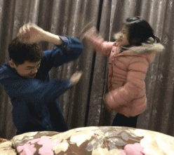 |搞笑GIF趣图:感觉做你家的猫咪好幸福!